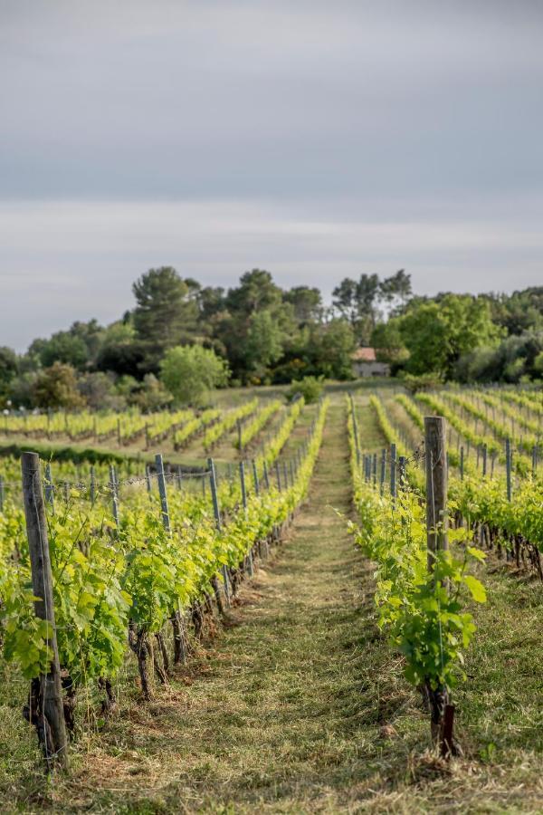 Domaine Rabiega - Vineyard And Boutique Hotel Драгіньян Екстер'єр фото