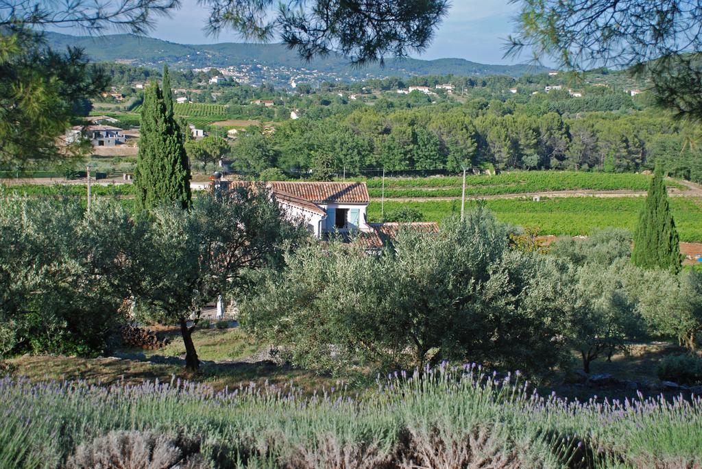 Domaine Rabiega - Vineyard And Boutique Hotel Драгіньян Екстер'єр фото