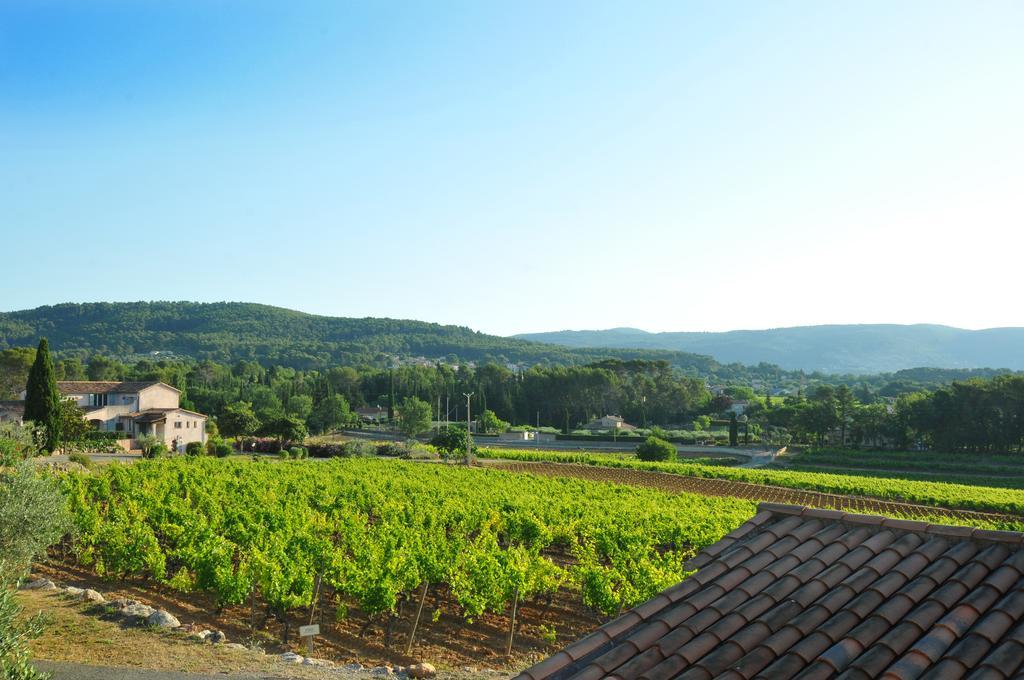 Domaine Rabiega - Vineyard And Boutique Hotel Драгіньян Екстер'єр фото